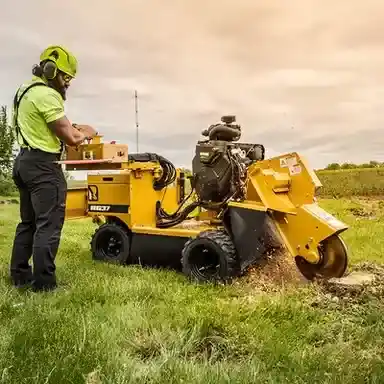 New Rayco RG37 Super Jr. in Charlotte, NC